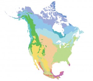 ecoregionlevel1